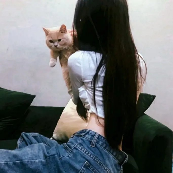 抗战英雄传