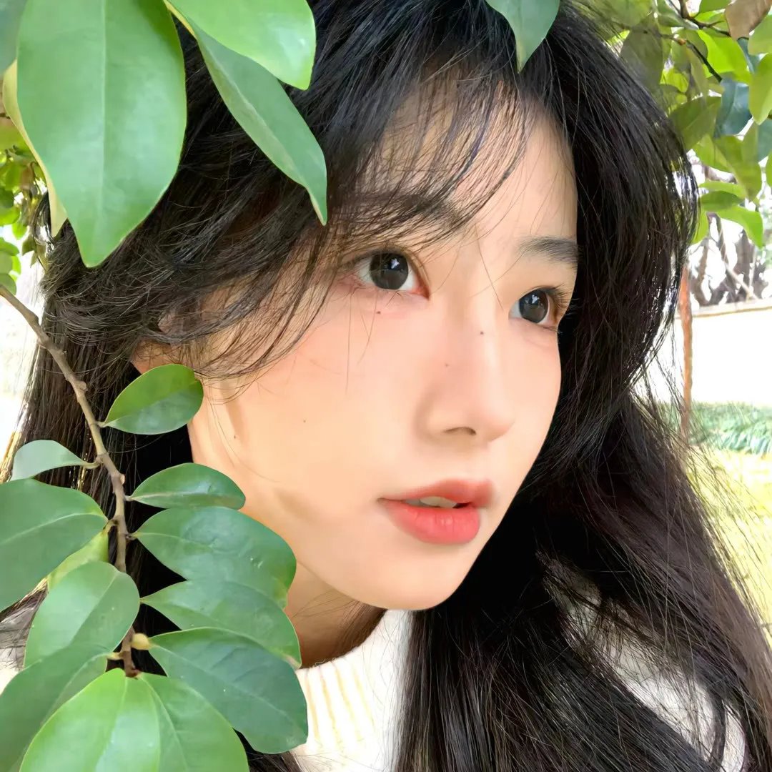 我为猪狂