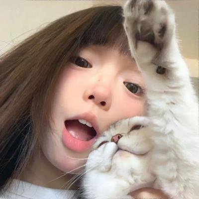 歌唱傻瓜