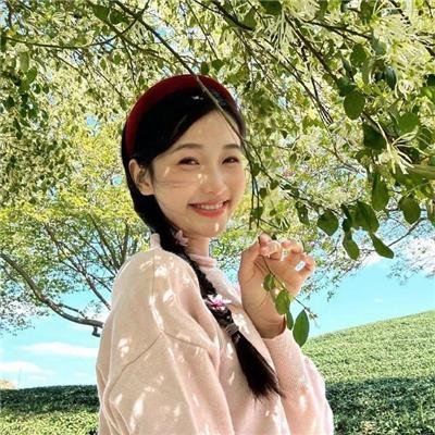 狡兔计划