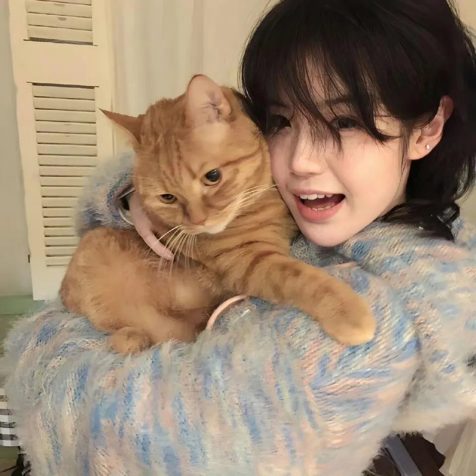 蓝百合